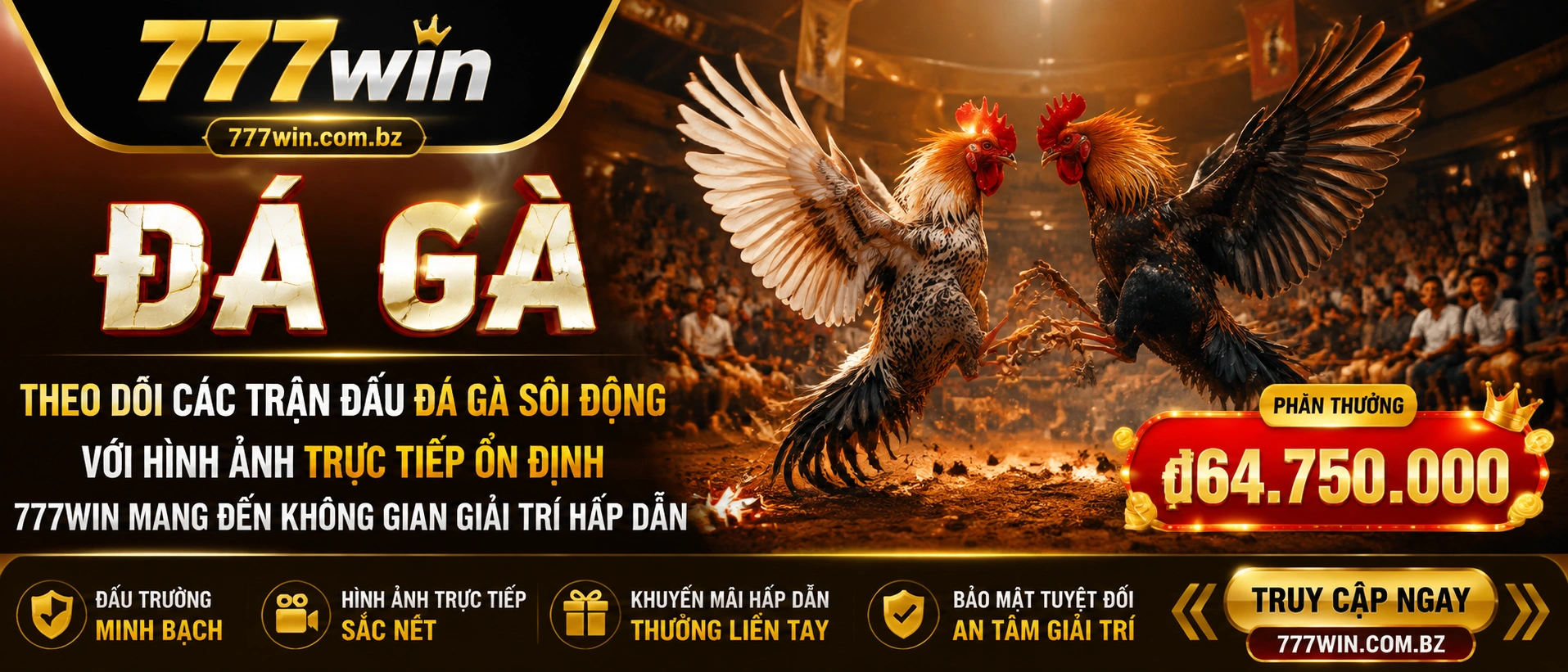 Đá Gà Campuchia trên thiết bị di động 777WIN